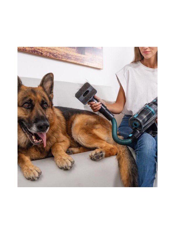 Cecotec Conga RockStar 2500 Thunder Flex Animal Επαναφορτιζόμενη Σκούπα 2 σε 1 Stick & Χειρός 33.6V Μαύρη Cecotec Conga RockStar 2500 Thunder Flex Animal Επαναφορτιζόμενη Σκούπα 2 σε 1 Stick & Χειρός 33.6V Μαύρη