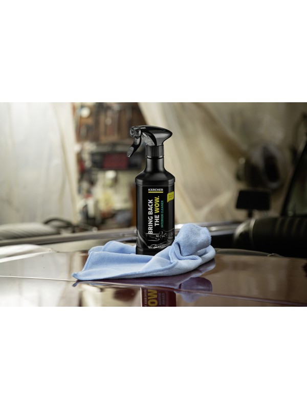 Karcher RM 651 Καθαριστικό / Γυαλιστικό και Προστατευτικό Σπρέι για Ταμπλό Αυτοκινήτου 500ml Κωδικός: 6.296-106.0 