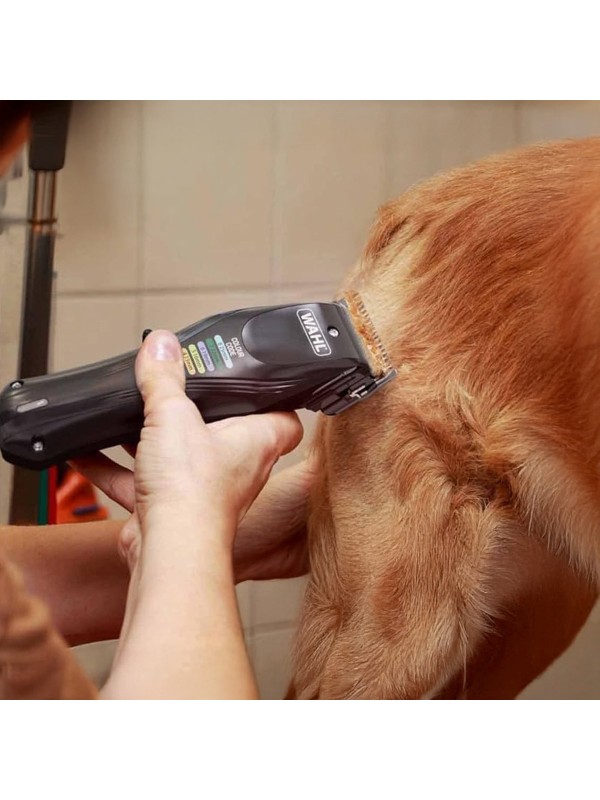  Επαγγελματική Κουρευτική Μηχανή Σκύλων Επαναφορτιζόμενη 6000rpm Μαύρο 3027682