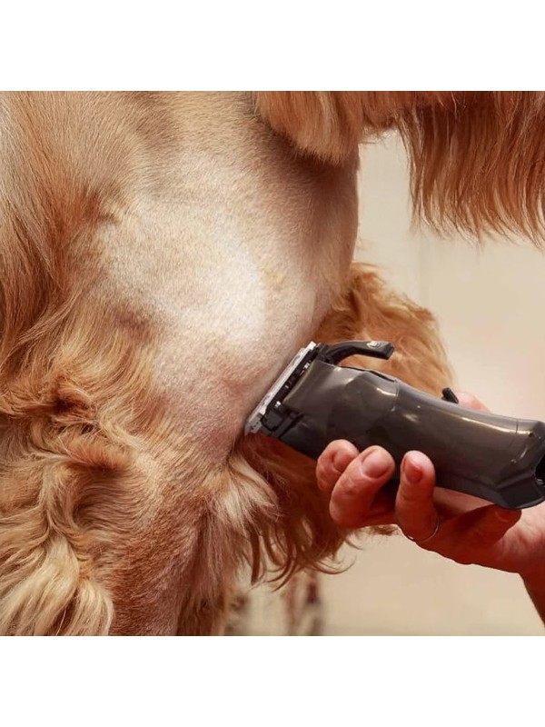  Επαγγελματική Κουρευτική Μηχανή Σκύλων Επαναφορτιζόμενη 6000rpm Μαύρο 3027682