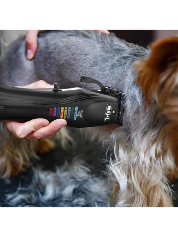  Επαγγελματική Κουρευτική Μηχανή Σκύλων Επαναφορτιζόμενη 6000rpm Μαύρο 3027682