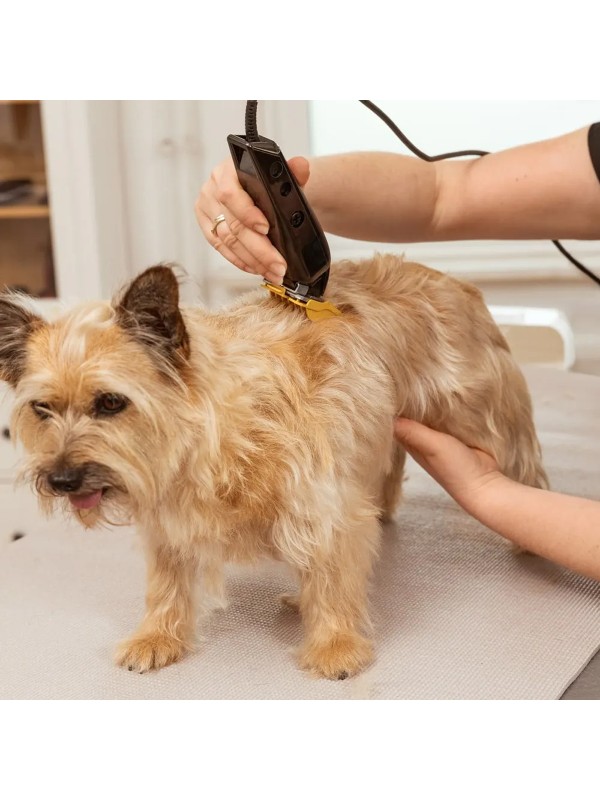  Κουρευτική Μηχανή Σκύλων Ρεύματος 7200rpm Μαύρο 3027683