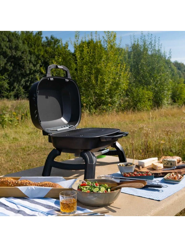  Napoleon TravelQ 240 Φορητή Ψησταριά Υγραερίου Σχάρας 34x49εκ. με 1 Εστία 2.6kW 