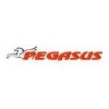 PEGASUS
